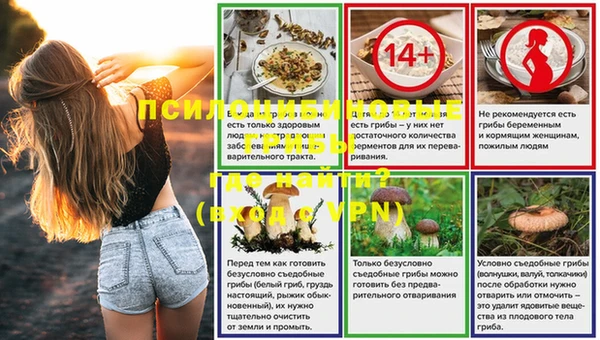 стафф Абдулино